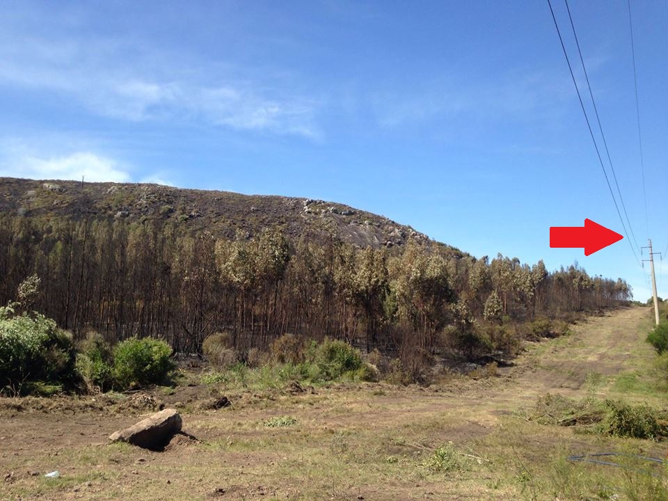 La flecha indica claramente el recorrido de la red de UTE, al borde de la zona que se estaba quemando.