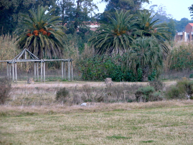 En este sitio, a la derecha de la pérgola de madera fue encontrado el cuerpo de la joven.