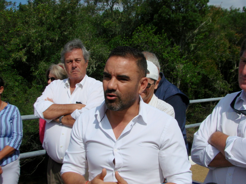 Fernando_Suarez