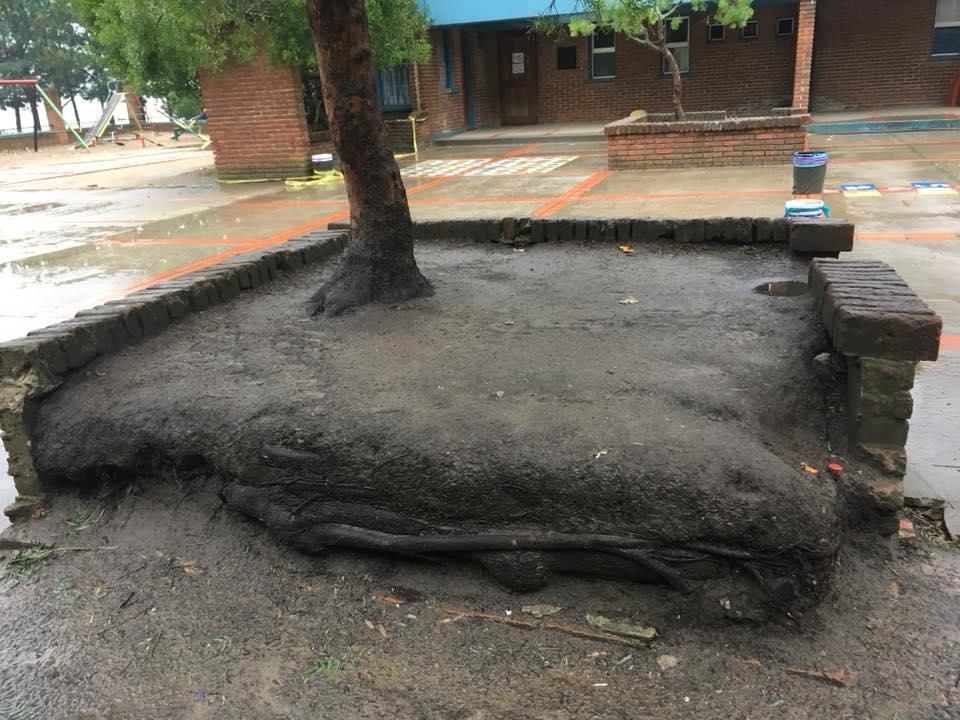 Escuela_99-MN7