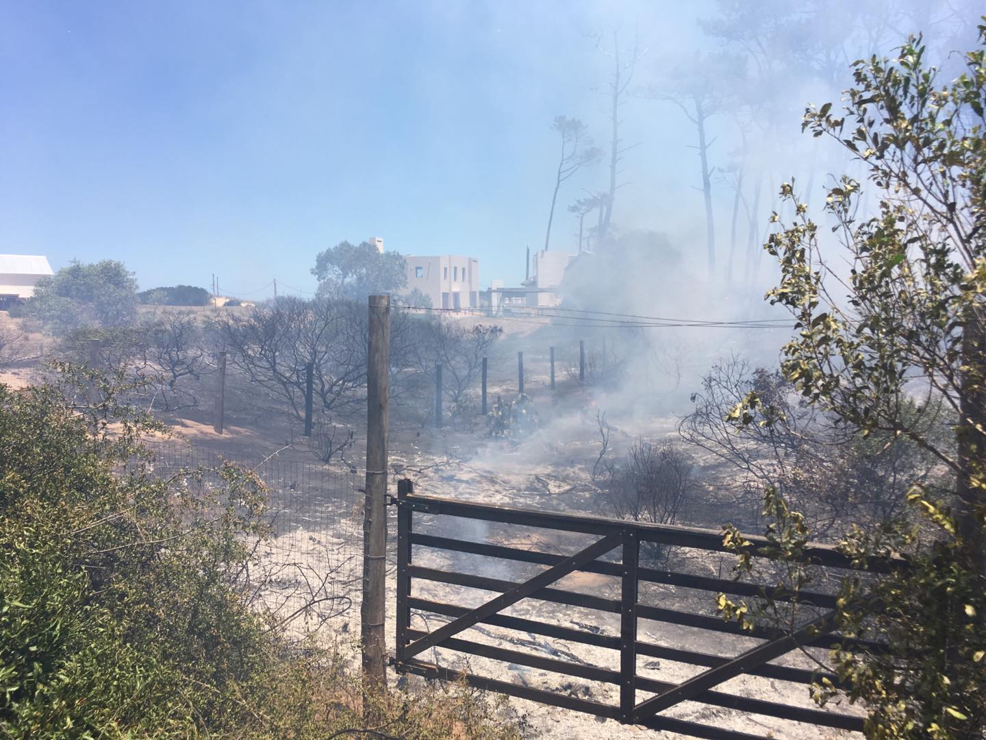 Incendio-9