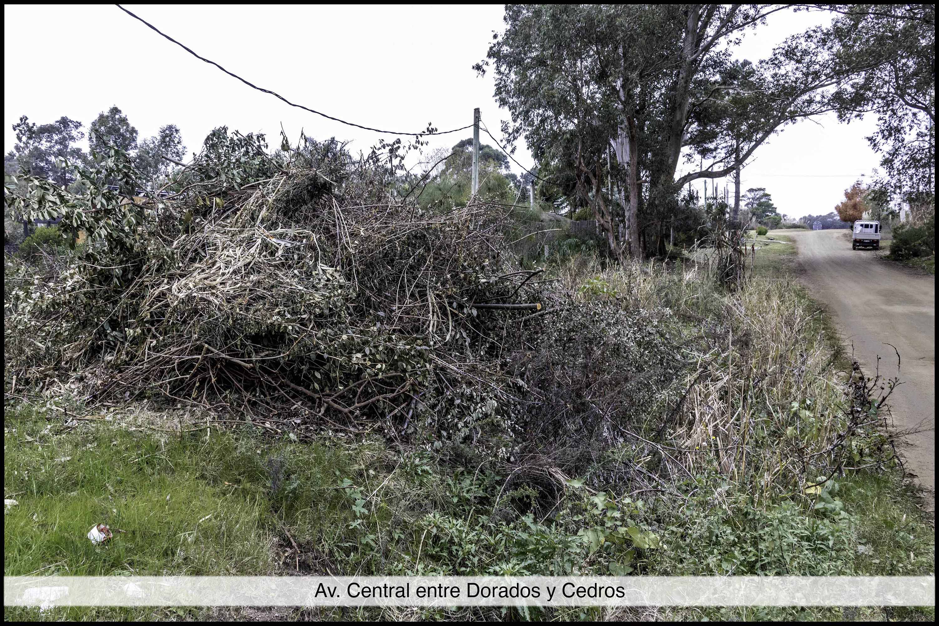 Basurales_P.Colorada-5