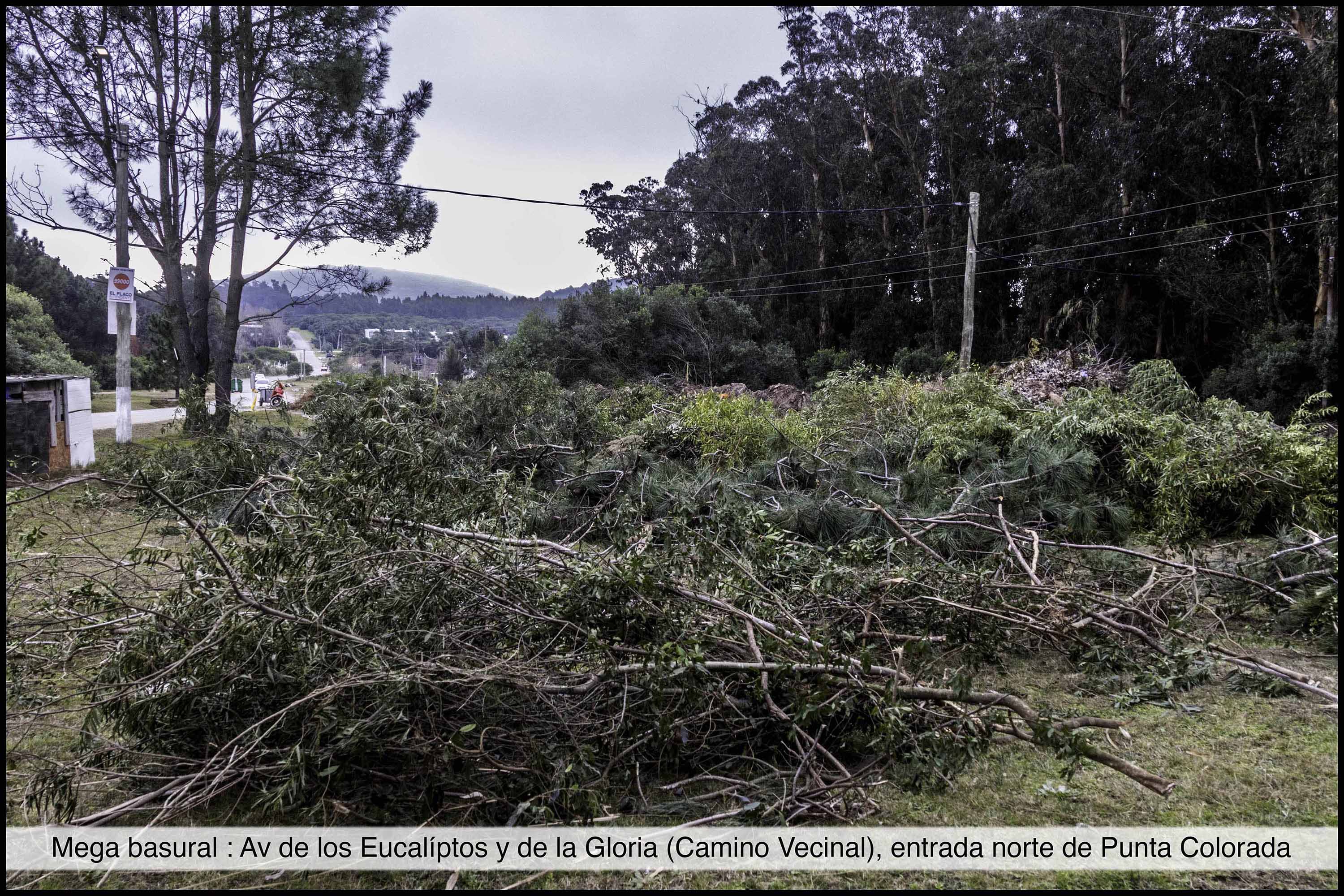 Basurales_P.Colorada-6