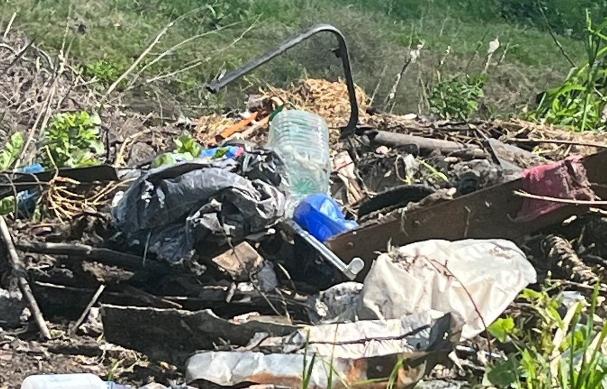 Estado_Laguna_Sauce-11 Estado_Laguna_Sauce-11