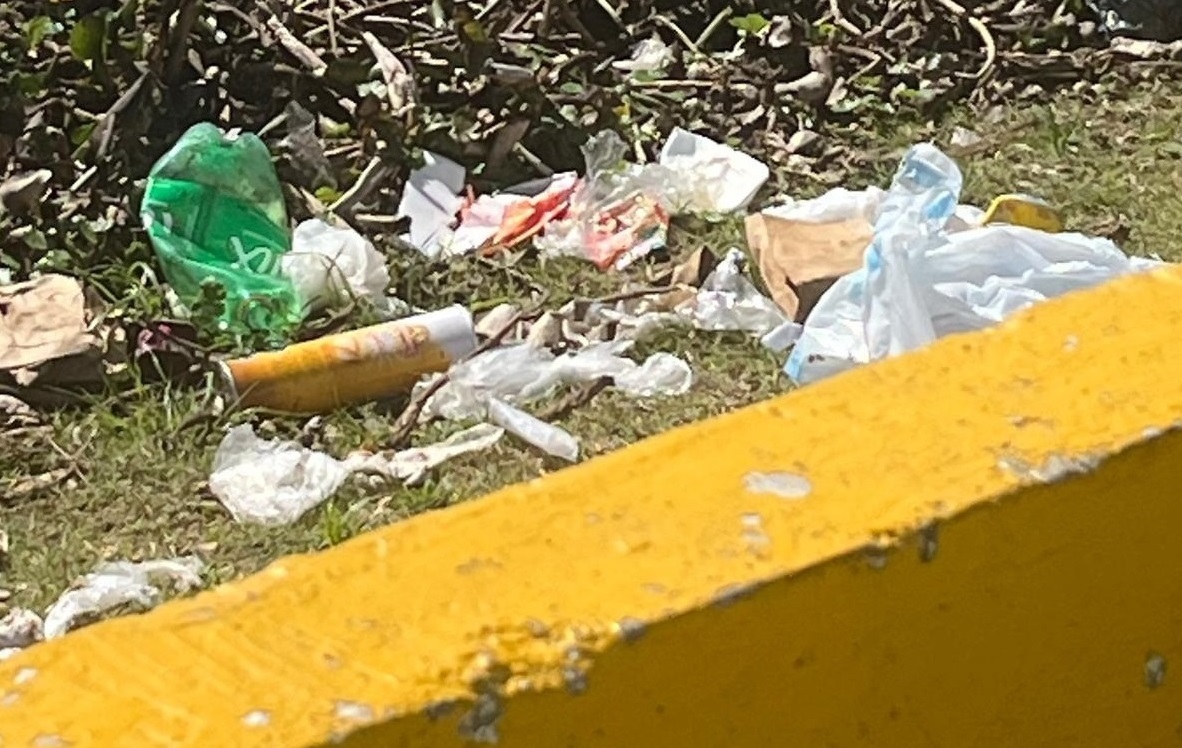 Estado_Laguna_Sauce-4 Estado_Laguna_Sauce-4