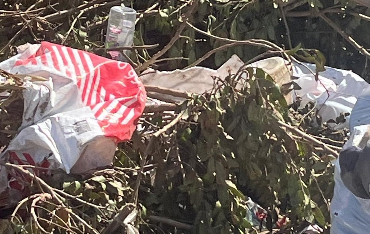 Estado_Laguna_Sauce-5 Estado_Laguna_Sauce-5