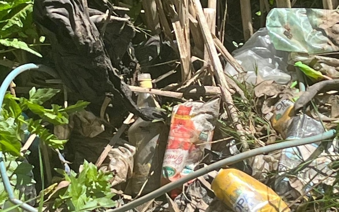 Estado_Laguna_Sauce-7 Estado_Laguna_Sauce-7