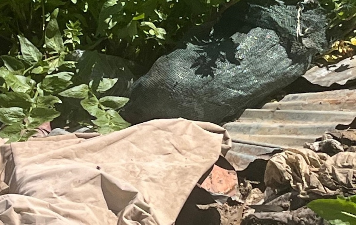 Estado_Laguna_Sauce-8 Estado_Laguna_Sauce-8