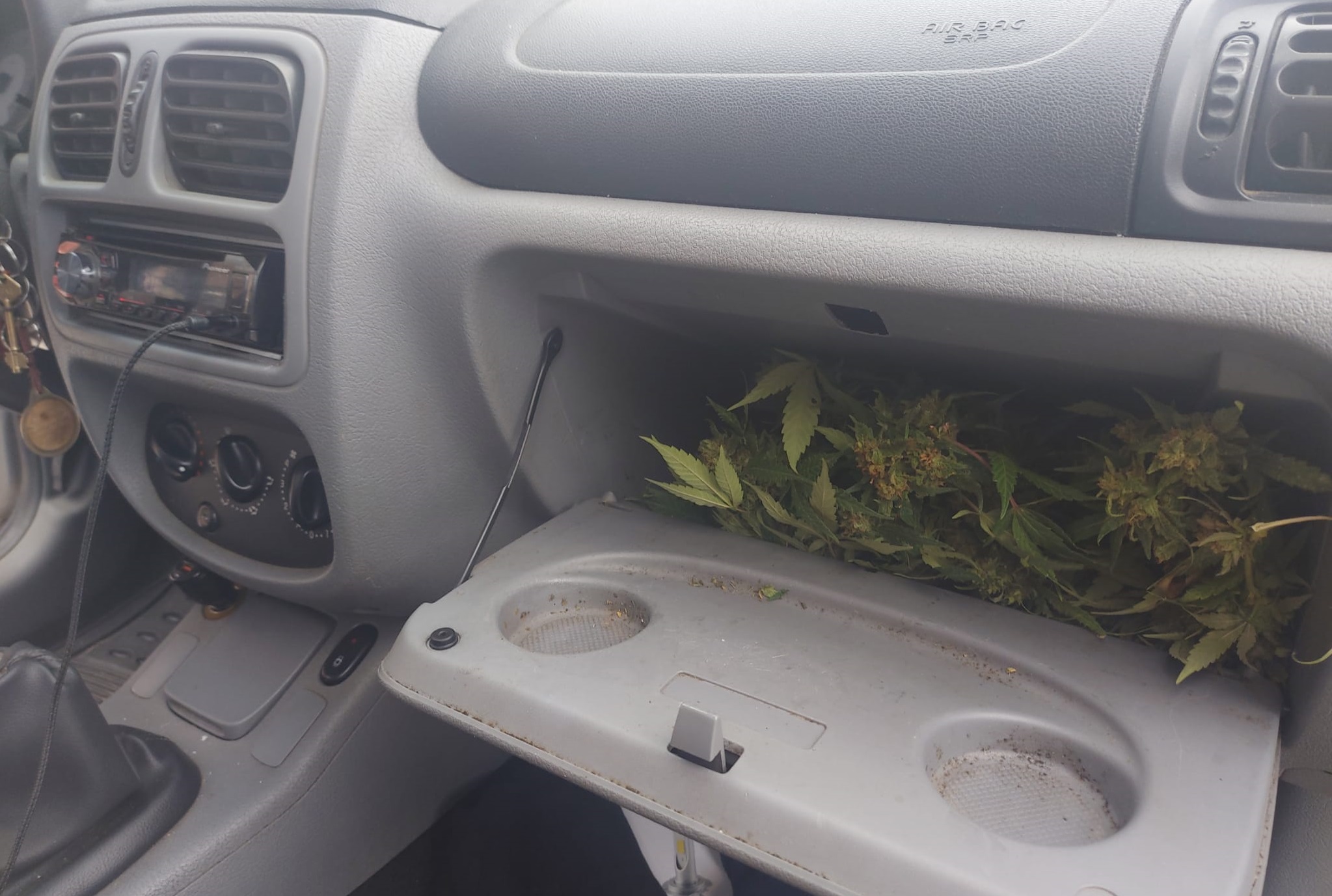 Clio_Marihuana-3