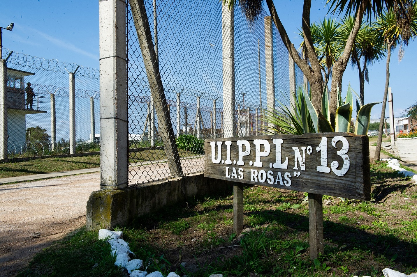 Las_Rosas-1