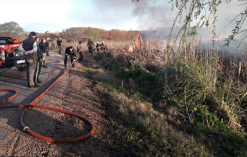 Incendio_Pajonales-4