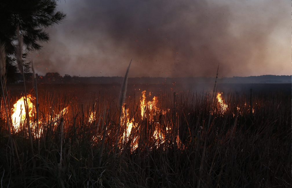 Incendio_Pajonales-5