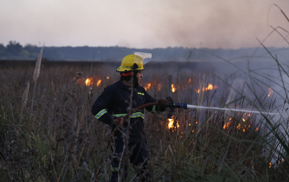 Incendio_Pajonales-8