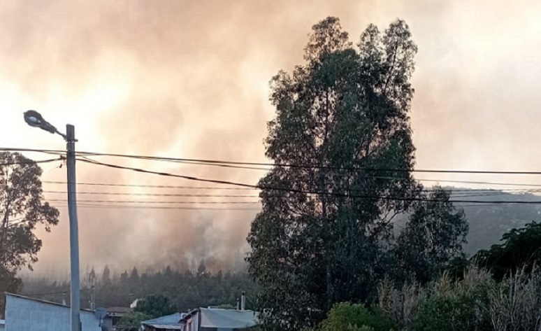 Incendio_Cerro_Toro-4