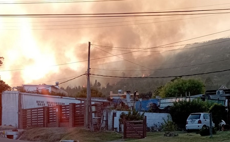 Incendio_Cerro_Toro-5