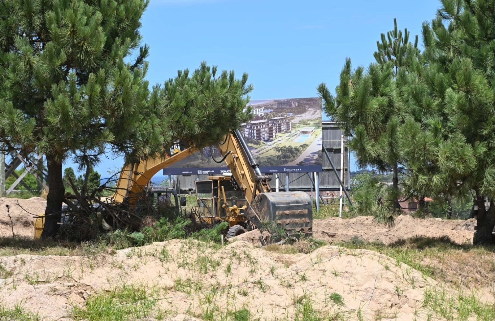 Inspeccion_Dinacea-5