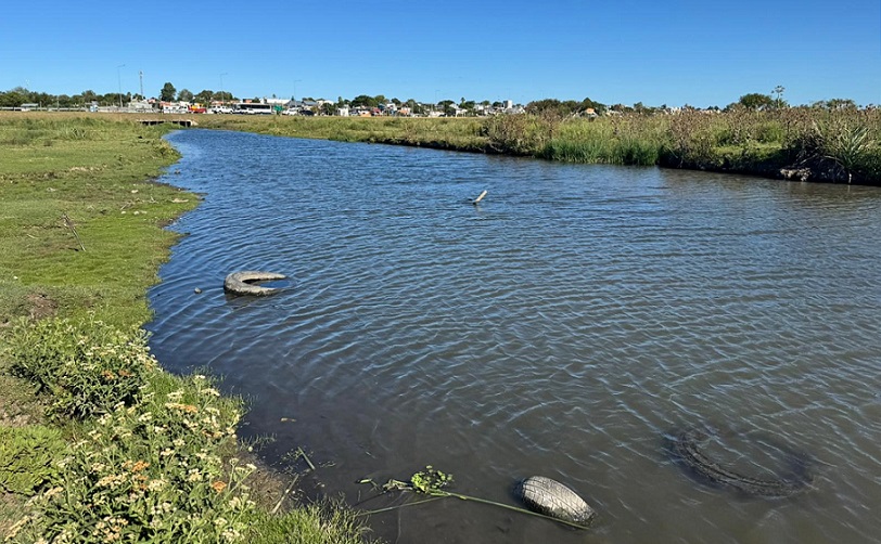 Limpieza_Arroyo_Humedal-5