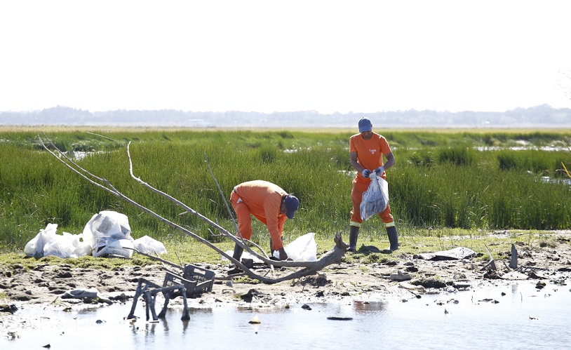 Limpieza_Arroyo_Humedal-6