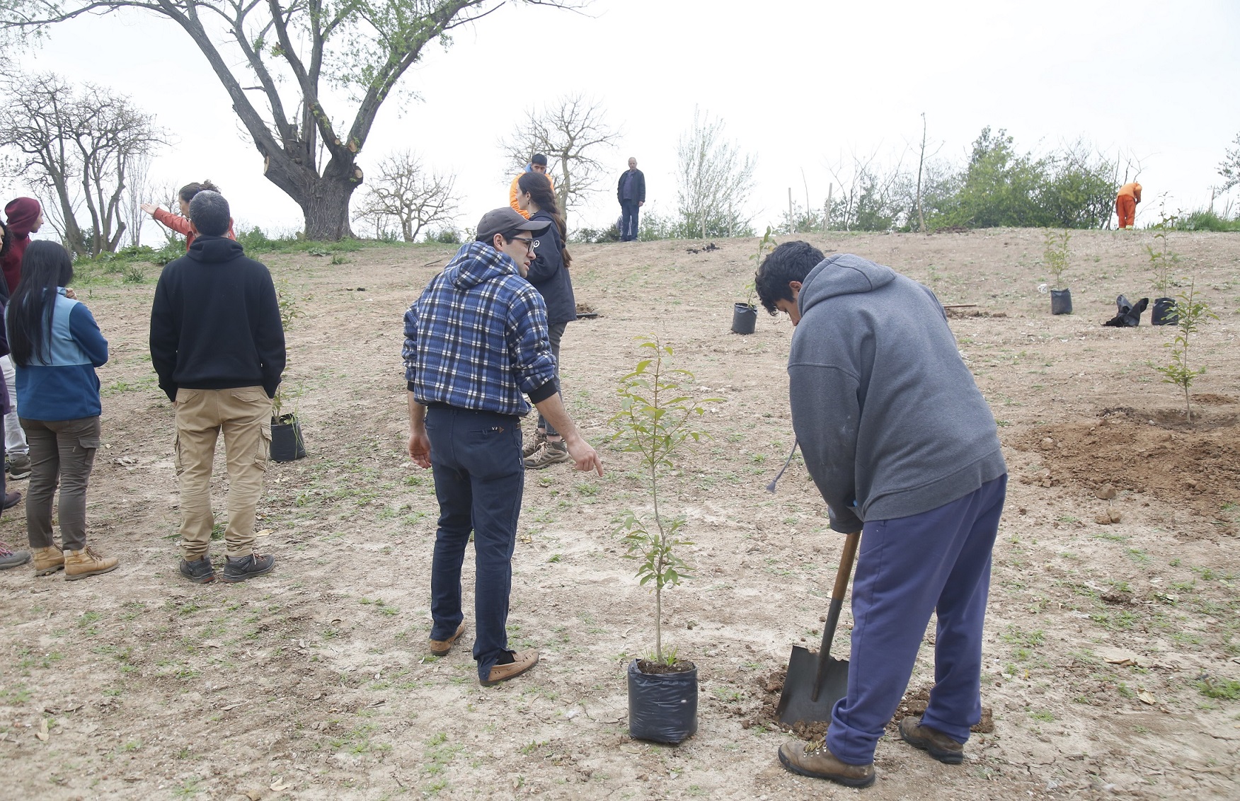 Plantacion-1