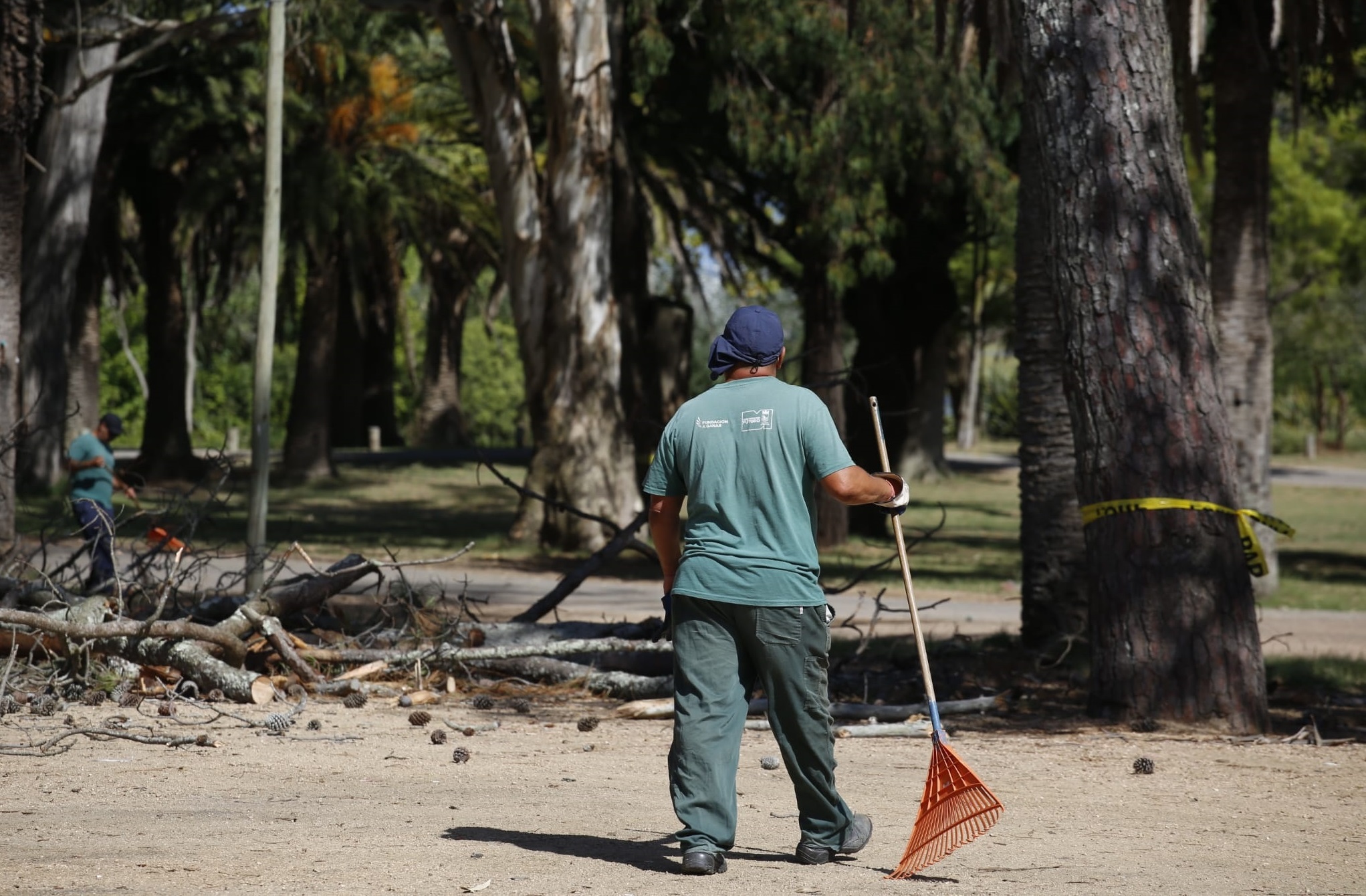 Relevamiento_Arboles-5