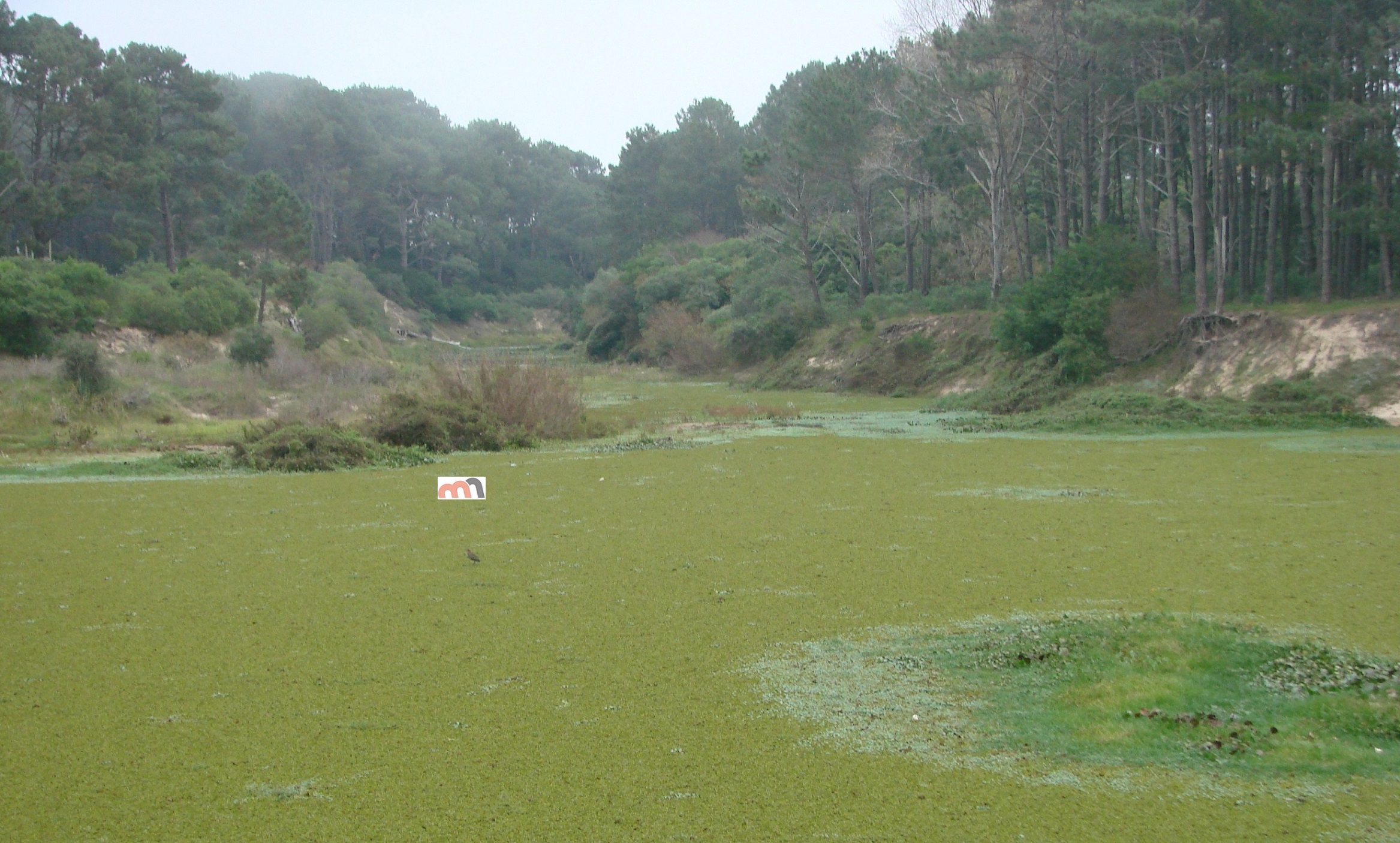 Arroyo_Vertedero-2