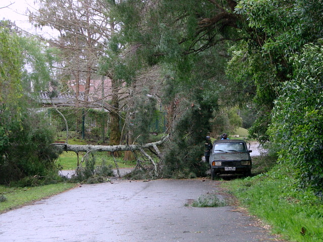 Calle_Cortada-1