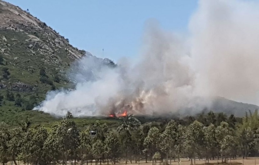 Incendio_Cerro_Pan_de_Azucar-1