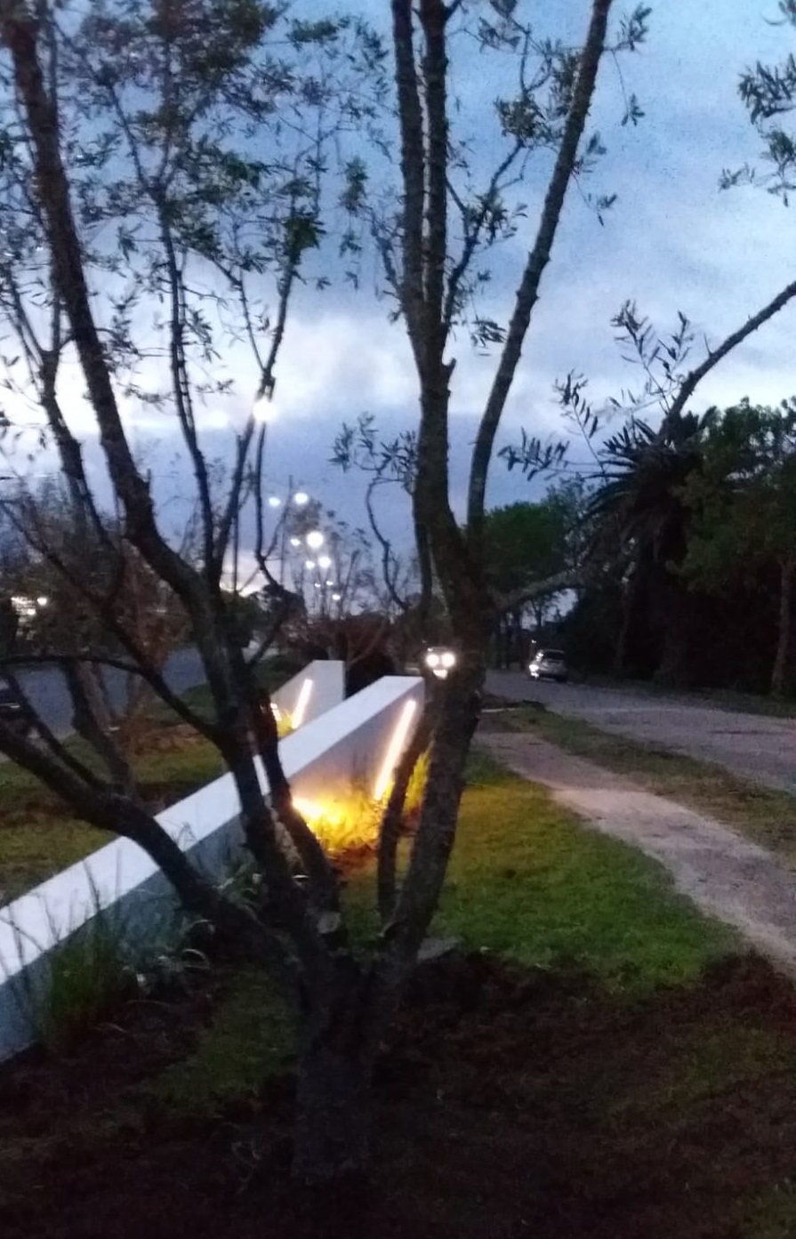 Memorial_San_Carlos-5