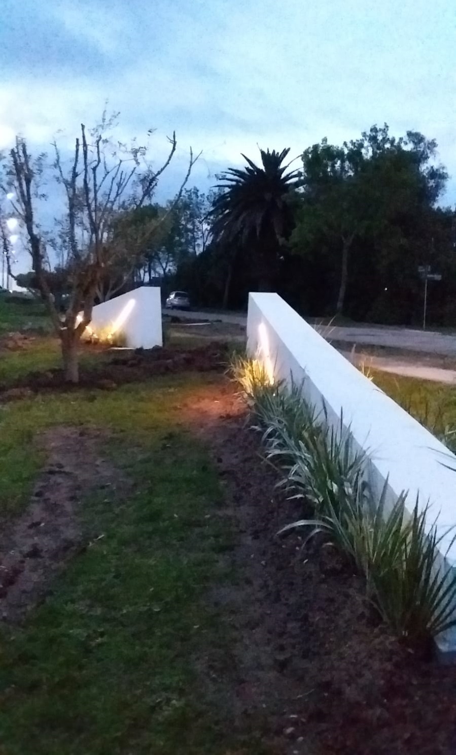 Memorial_San_Carlos-6