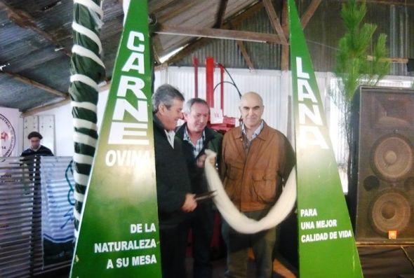 P1150599