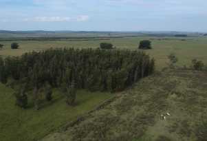 Estas son las tierras adquiridas para desarrollar viviendas de Mevir en Los Talas