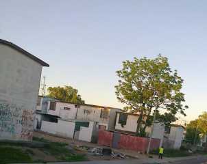 mas barrio
