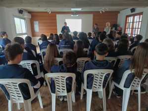 Pinares