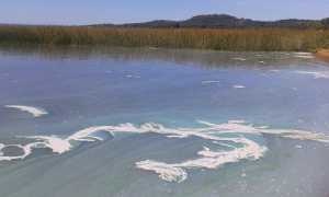 Así se observaba el agua de Laguna del Sauce la tarde del domingo