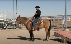 Randy Helm llega a "Bienestar con Caballos" a aportar su amplia y reconocida experiencia.