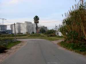 Por esta calle caminaba Lucía la noche del jueves. Entre este lugar y unos 50 metros hacia adelante habría sido abordada por su asesino.