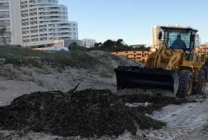 Limpieza en las playas de Punta del Este