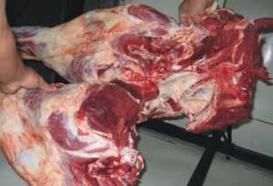 Imagen referencial