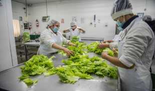 manipulación de alimentos