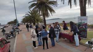 Acción de Unifa el Día Mundial del Medio Ambiente en la rambla de Punta del Este