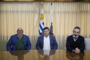 asume Plada