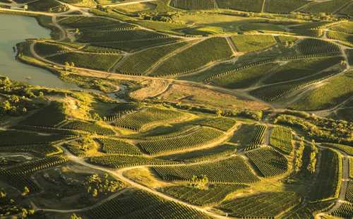 Imagen aérea de Bodegas Garzón, Maldonado