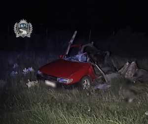 WhatsApp Image 2026 03 30 at 21.55.04