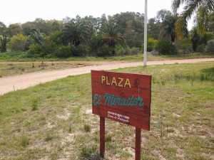 En estos bosques podría tener su refugio el felino ahora intensamente buscado