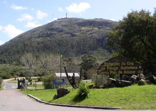 En marcha la reclamada remodelación de un paseo que siempre merece más atención.