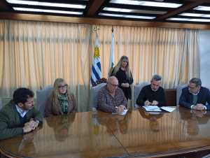 convenio idm 13