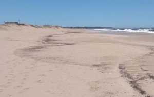 Trazas de hidrocarburos en la costa, que ya fueron removidas este domingo.