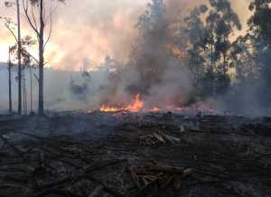 Dotaciones de varios departamentos trabajan en la zona de Las Cumbres, en Abra de Perdomo.