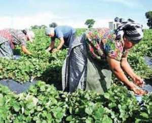 Mujeres Rurales. 