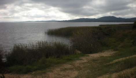 Hay presencia de floraciones de cianobacterias en Laguna del Sauce y ya se tomaron medidas